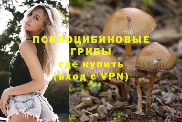 дживик Богданович