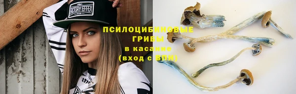 Альфа ПВП Богородск
