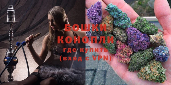 дживик Богданович