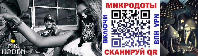 Псилоцибиновые грибы прущие грибы купить Благовещенск